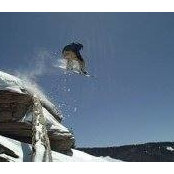 Chris Powell's photo