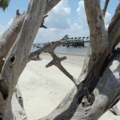 Shelia Hughey's photo