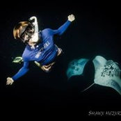 Alex Findens foto