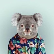 Aaron Lee's photo
