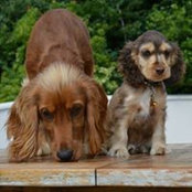 Kiara Rainey's photo