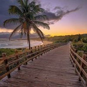 Fernando Oquendo's photo