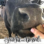 Brenda Smith's photo