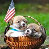 Judy Hart's photo