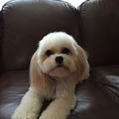 Barbara Sugarman's photo