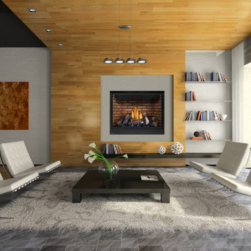 Napoleon Hearth Product Gallery