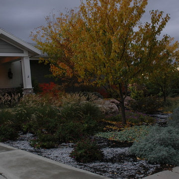 Above the Capitol Traditional Style Water Wise Yard