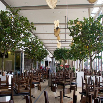 Fishmonger Restaurant