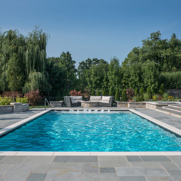 Highland Park,IL Swimming Pool, Separate Elevated Hot Tub, Sunshelf w/ Bubblers