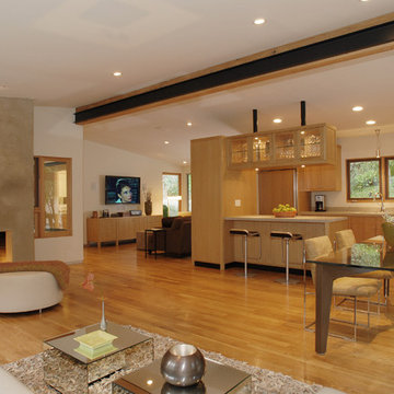 Nichols Canyon remodel