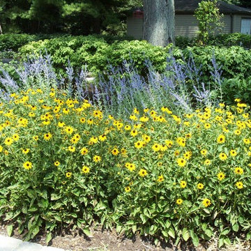 Carol Stream Landscape Projects