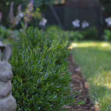 Plantings