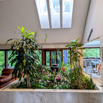 Indoor Tropical Garden