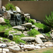 landscape ideas