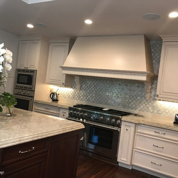 Kitchen Remodel/Renovation