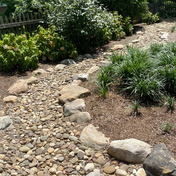 Riverbeds and Rain Gardens