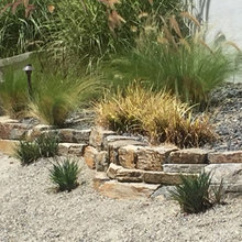 Native Gardens