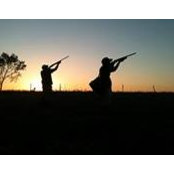 Falling Waterfowls foto