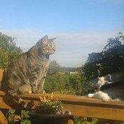 Cathy Logan's photo