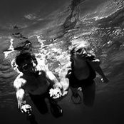 Frank Fox's photo