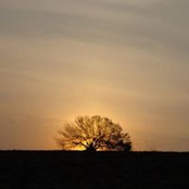 Alfredo Puente's photo