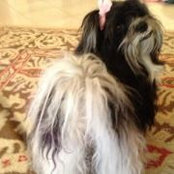 Dot Lodin's photo
