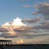 Foto von Rhonda Bayless