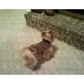 Debbie Anderson's photo