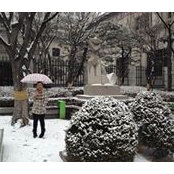 Anne Huynh's photo