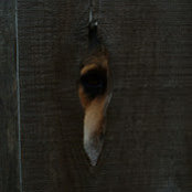 Steven Martin's photo