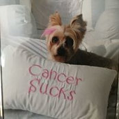 Ella Platnick's photo