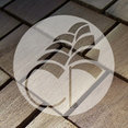 Cedar Roofing's profile photo
