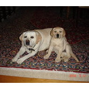 Cathy Lengeling's photo