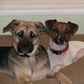 Carrie Dearden's photo
