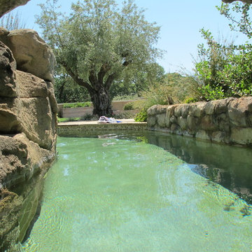 Glen Ellen Paradise