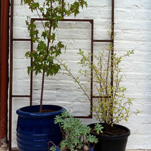 gardening: container