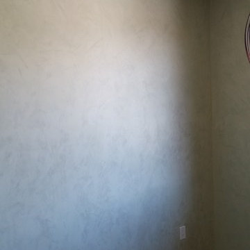 Venetian Plaster Calgary-Artesia Community