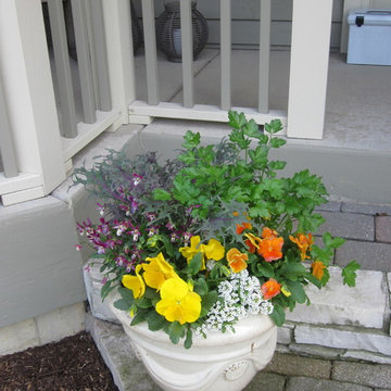 Annual Displays