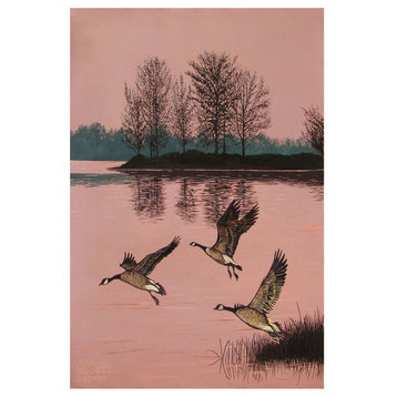 Mike Bennett Trio of Canadian Geese Art Print, 12"x18"