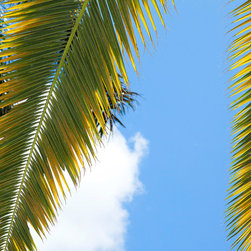 New Stock Photography - Products