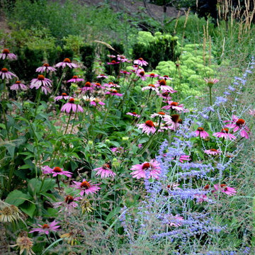Perrenial garden