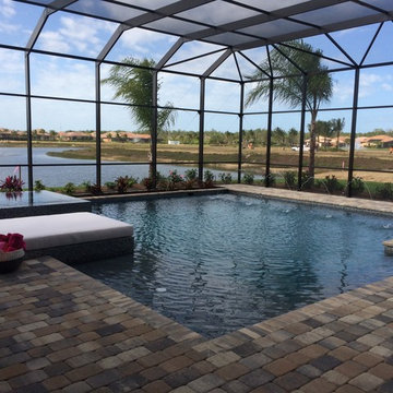 Pools That Serenity Built