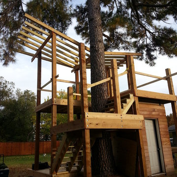 Dunn Treehouse