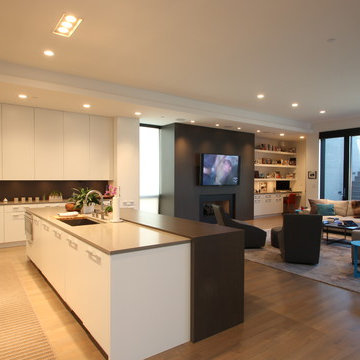 Chicago Bucktown Modern Masterpiece