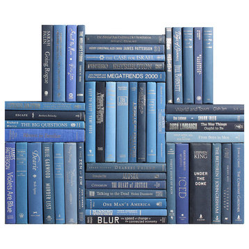 Modern Denim & Silver Book Wall, Set of 50