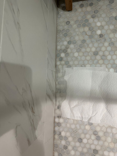 Shower not draining properly?
