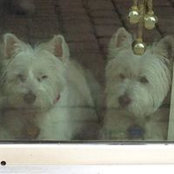 Foto von Ruth StLeger Hoffman