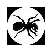 Andrew Chappell's photo