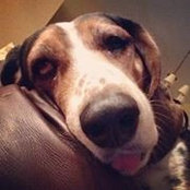 Carol Mullarkey's photo