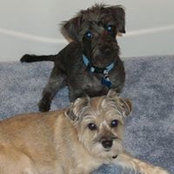 Barbara Fallat-Gordon's photo